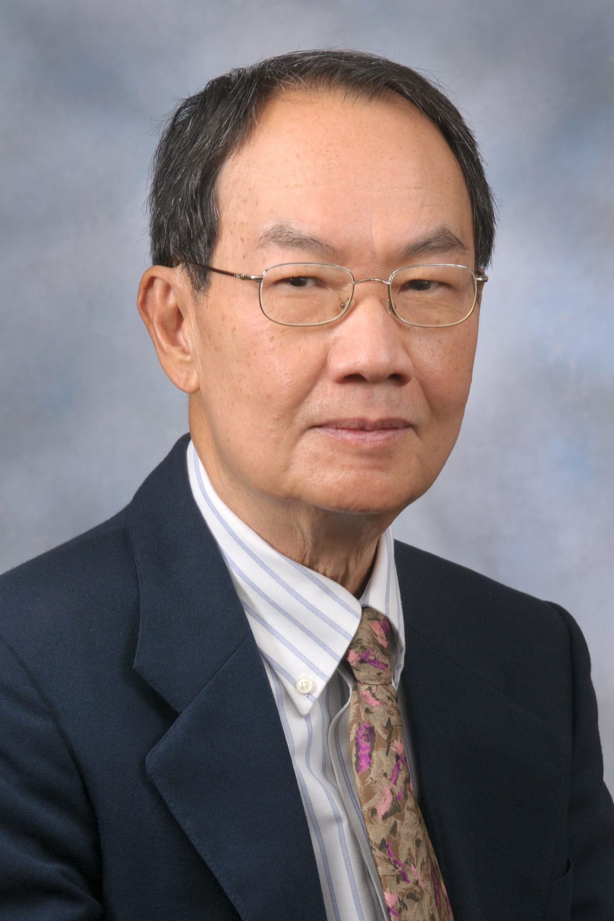 大坝 - Thuy Truong图像