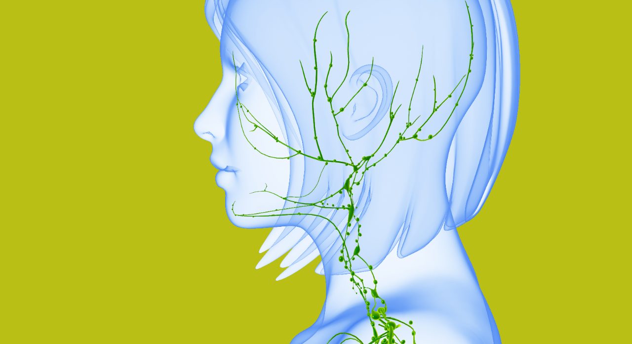 显示定点淋巴结