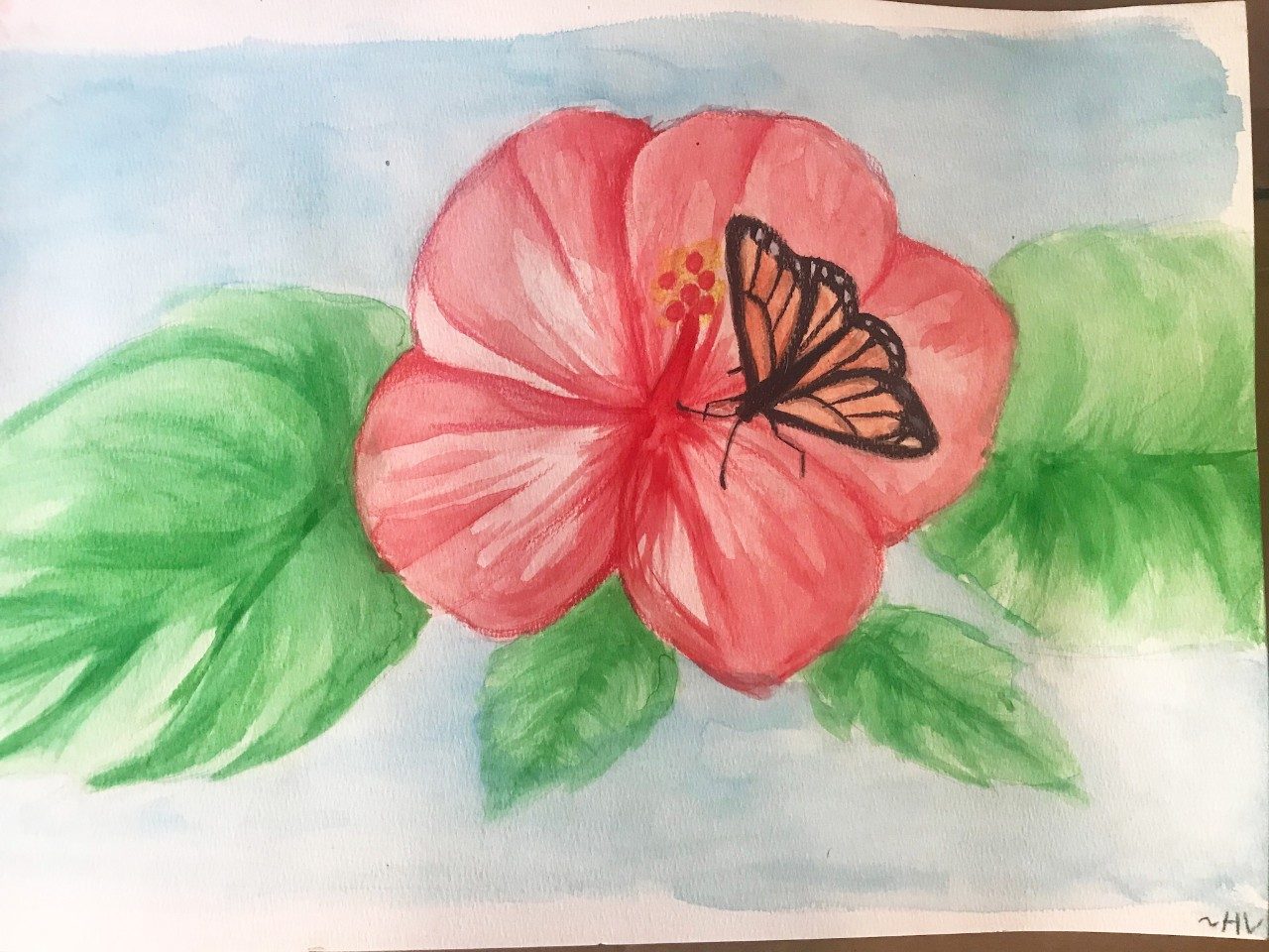 得到芙蓉花和蝴蝶水彩的好卡