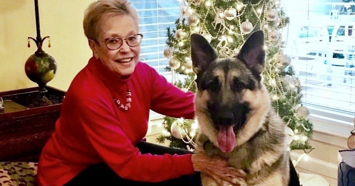 肺癌幸存者南希·怀特和她的服务犬汉斯站在圣诞树前