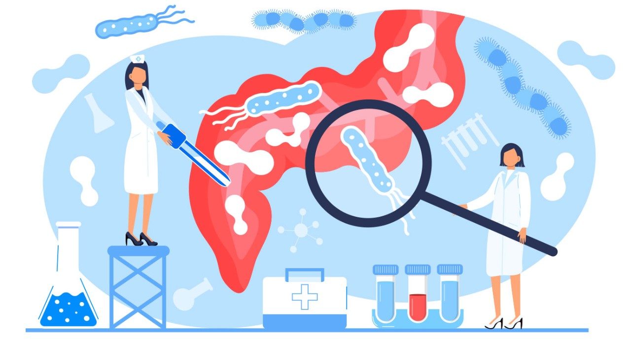 检查胃的女性临床医生的例证，与浮动微生物和医学小瓶