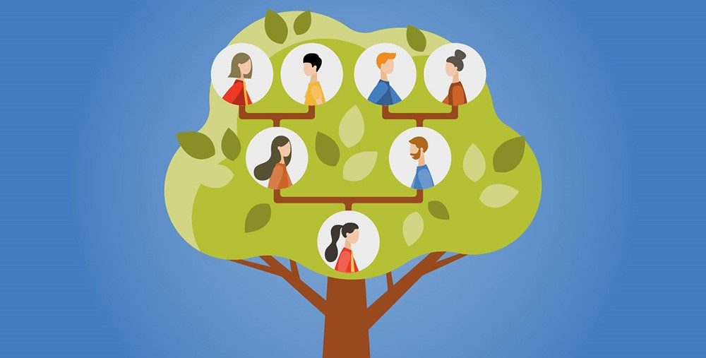 绿树覆盖家庭树,由两组祖父母、双亲和一子组成