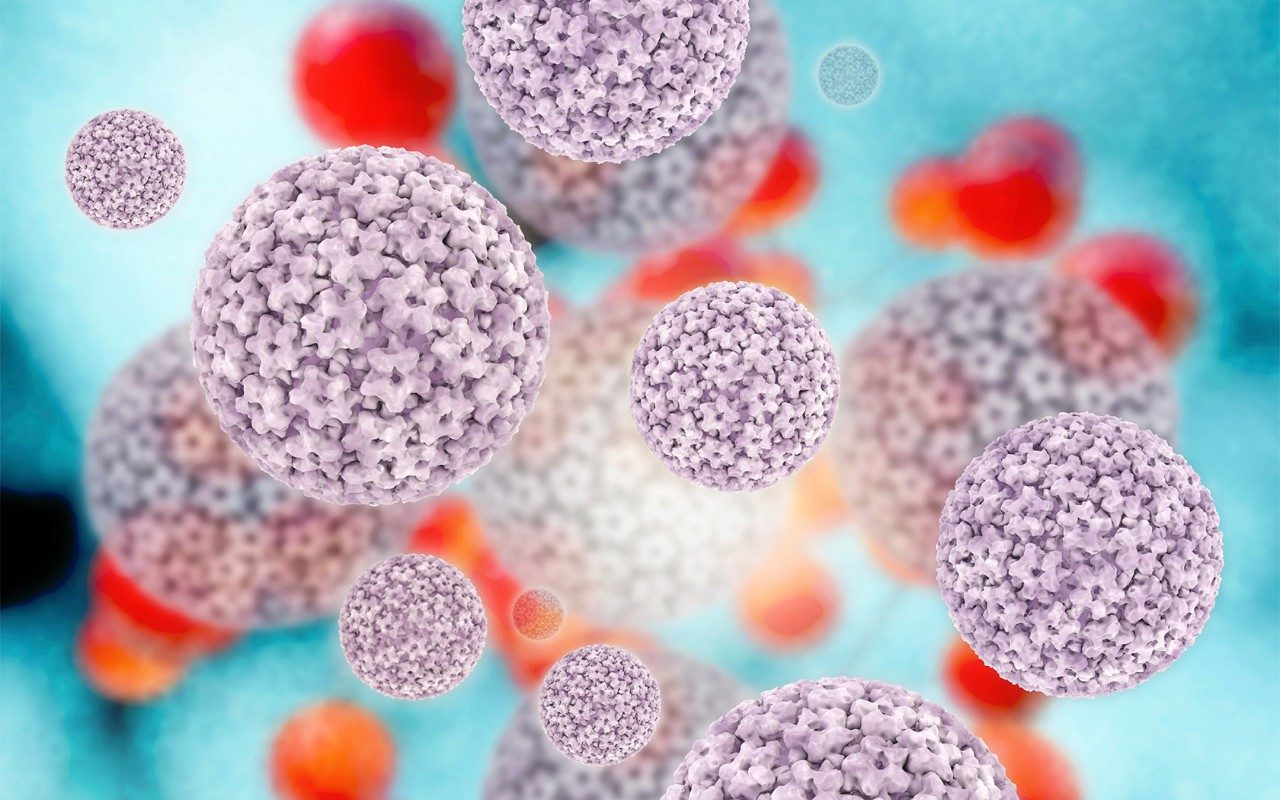 HPV.