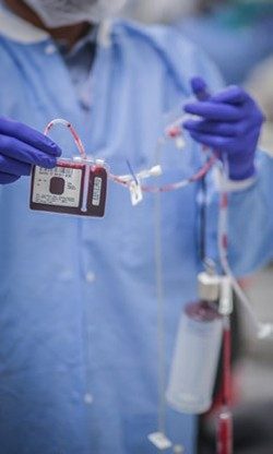 自然杀伤细胞是从的umbelical-脐带血单位云集,如这一个。